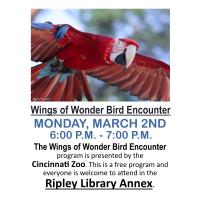 Wings of Wonder Bird Encounter