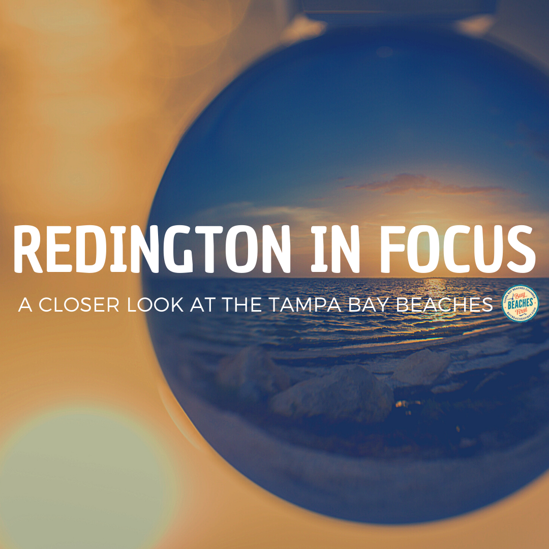 Redington in Focus