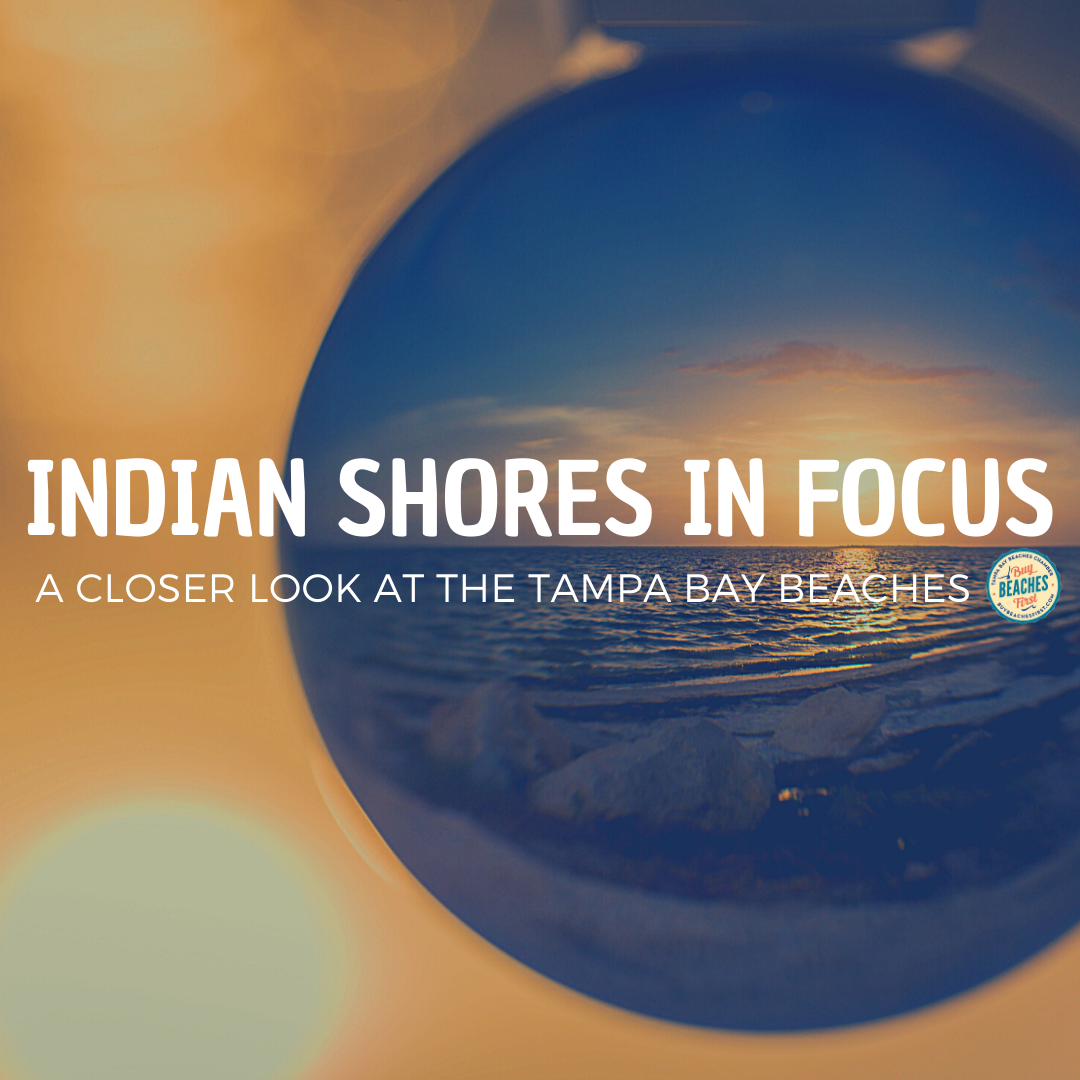 Image for Indian Shores in Focus
