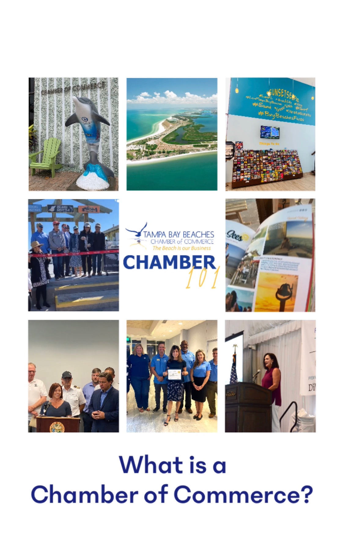 Image for What is a Chamber of Commerce?