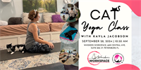 Cat Grounded Yoga with Kayla Jacobson