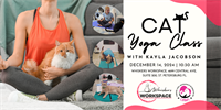 Cat Yoga with Kayla Jacobson