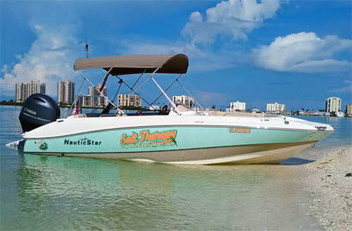 Captain Clearwater Private Charters • Dolphin Tours • Sunset Cruises