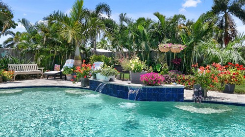 Pool Photo Real Estate Listing