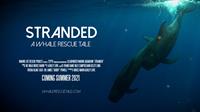 Stranded: A Whale Rescue Tale Premiere Screening