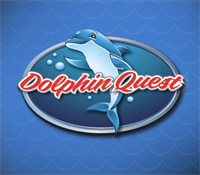 Dolphin Quest Madeira Beach Festival of Lights Boat Parade Viewing Cruise