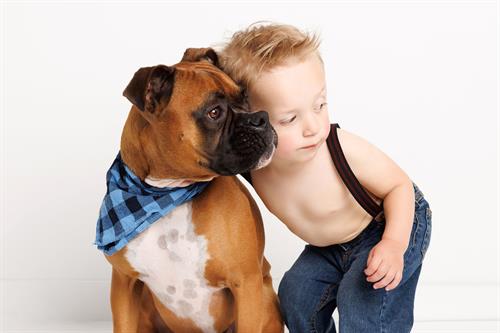 Wisconsin dog photographer