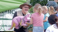Dinosaur Dimensions: Expedition!