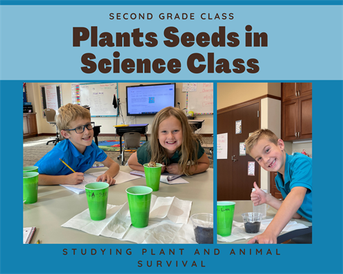 Second Grade Learns About Plant Survival