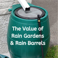 The Value of Rain Gardens & Rain Barrels