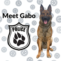 Meet Gabo, Oconomowoc'c K-9