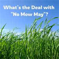 What’s the Deal with "No Mow May"?