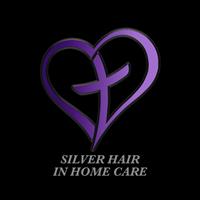 Silver Hair In Home Care