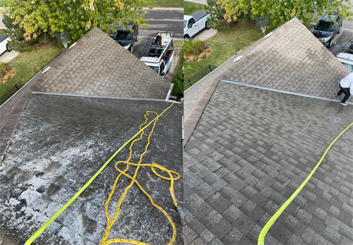 Gallery Image Untitled_design.png Gallery Image Untitled_design.png