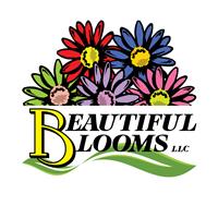 Beautiful Blooms Landscape
