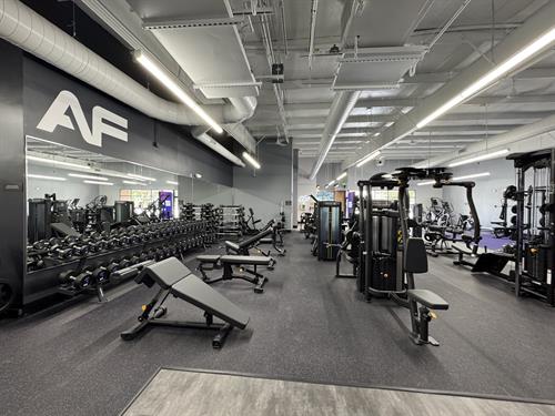 Gallery Image Gym_Floor_Picture_5.jpeg Gallery Image Gym_Floor_Picture_5.jpeg