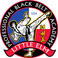 Pro Black Belt Academy - Little Elm