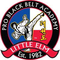 Pro Black Belt Academy Pro Black Belt Academy