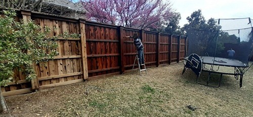 Gallery Image Gallery9(1).jpg