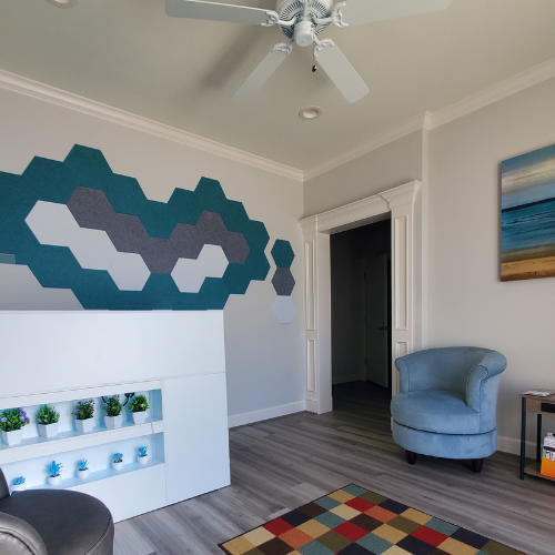 Wholesome Clinic Frisco Reception.png