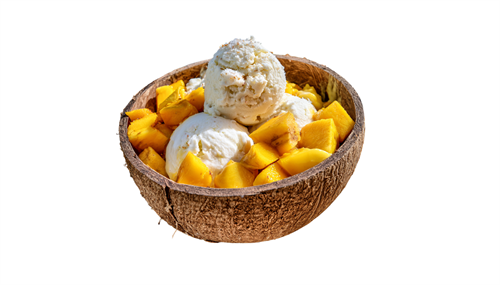 Gallery Image coconut-mango-bowls-chickonut.png