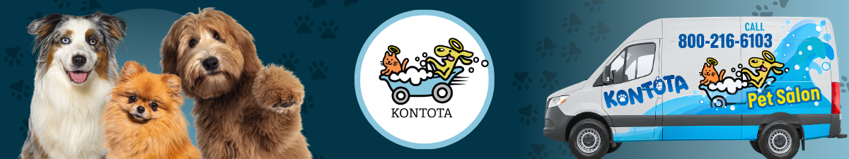 Kontota
