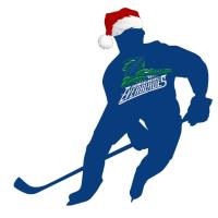 Greater Estero Chamber Night at the 5/3 Terrace with the Florida Everblades