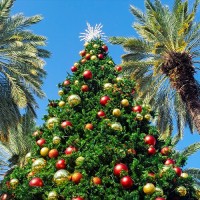 Holiday Celebration & Tropical Parade