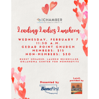 Leading Ladies Luncheon: Lauren Reinmiller, Nonprofits: The Power of Partnering