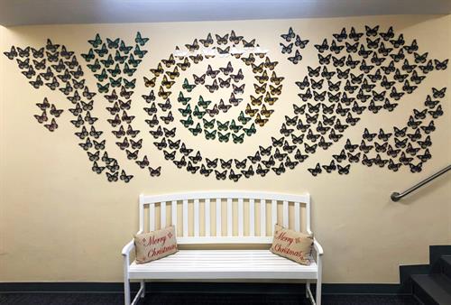 Butterfly Wall