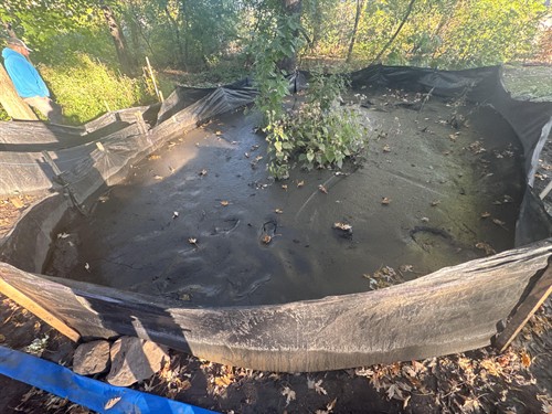 Gallery Image Bass_Lake_dredging_2_-_Copy.jpg