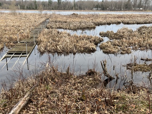 Gallery Image IMG-2660_-_Copy_-_Copy.jpg