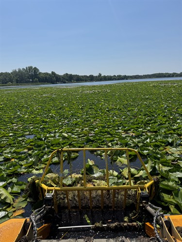 Gallery Image IMG_0576_-_Copy.jpeg