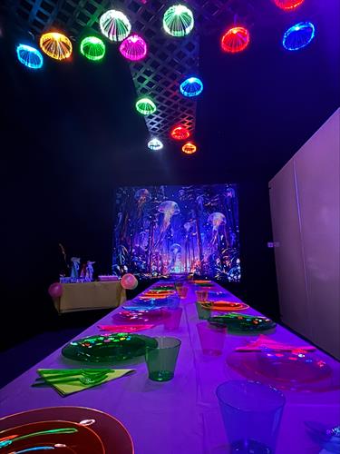 Large Party Room