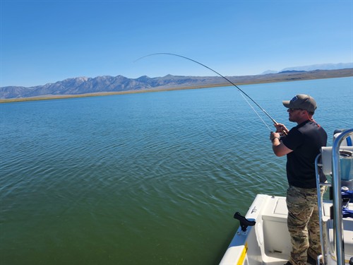 Fishing Crowley Lake