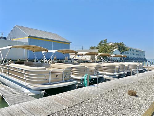 Gallery Image Pontoon_Boats.jpg