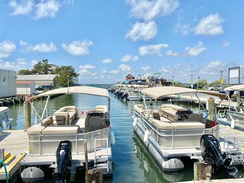 Gallery Image Pontoon_Boats_1.jpg