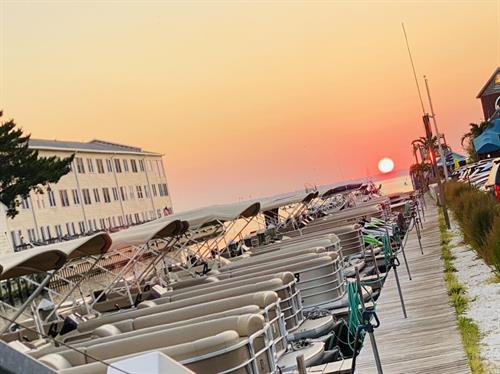Gallery Image Pontoon_Boats_2.jpg