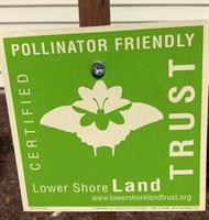Lower Shore Land Trust Pollinator Garden Tour