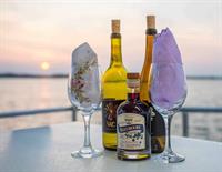 Ocean Princess, Inc. - Ocean City