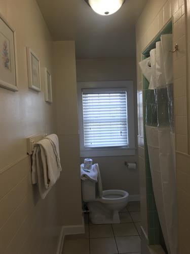 2 BR APT - Bathroom