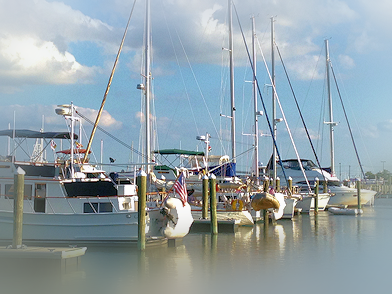 Enjoy the conrete floating transient pier close to bathouses, laundry, pool and the marina office. Enjoy the conrete floating transient pier close to bathouses, laundry, pool and the marina office.