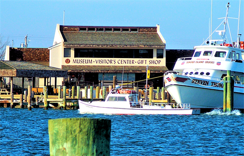 Jump aboard one of the daily cruises to Tangier and Smith Islands and visit the famous J.M. Tawes Museum. Jump aboard one of the daily cruises to Tangier and Smith Islands and visit the famous J.M. Tawes Museum.