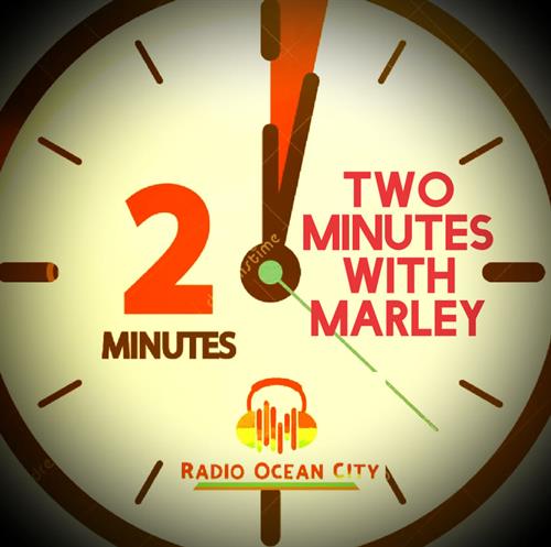 Stay update with 2 minutes with Marley Stay update with 2 minutes with Marley
