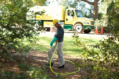 Soil-injected Fertilization