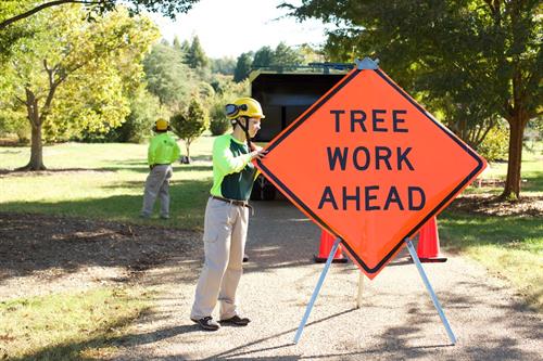 Tree Work Ahead Sign for worker safety