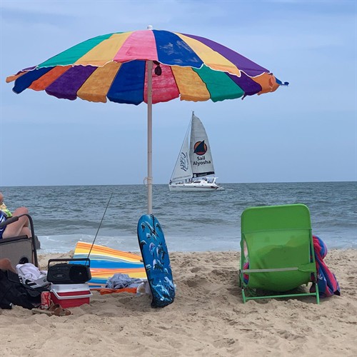 Gallery Image AlyoshaFromBeach.jpg