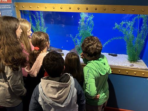 Aquarium Program