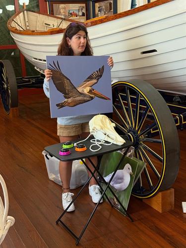 Summer Program: Land, Sky, and Sea