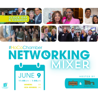 Lunchtime Networking Mixer
